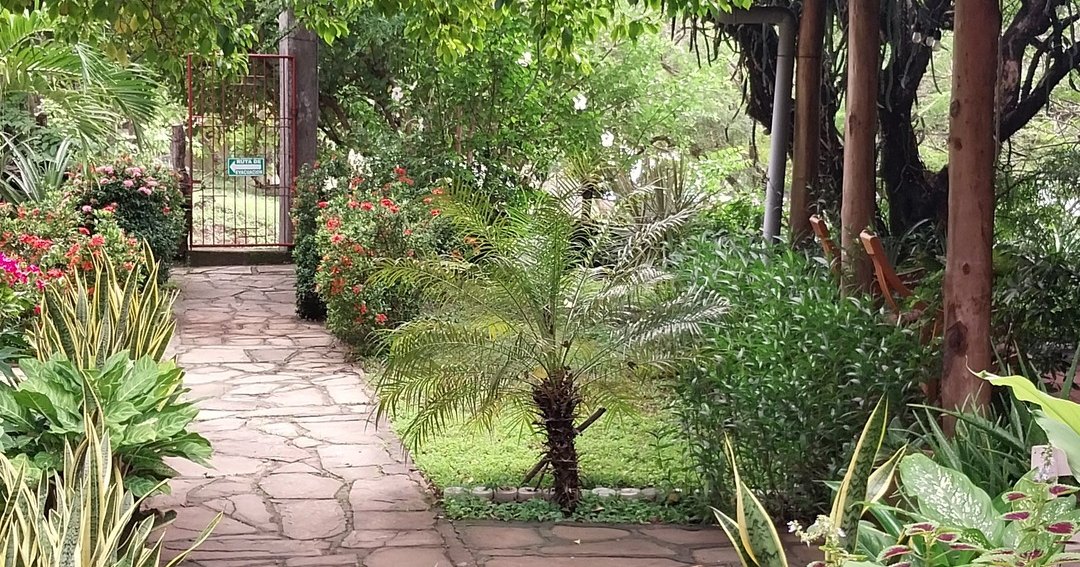 Stone pathway through a lush tropical garden at Casa Todo Bueno