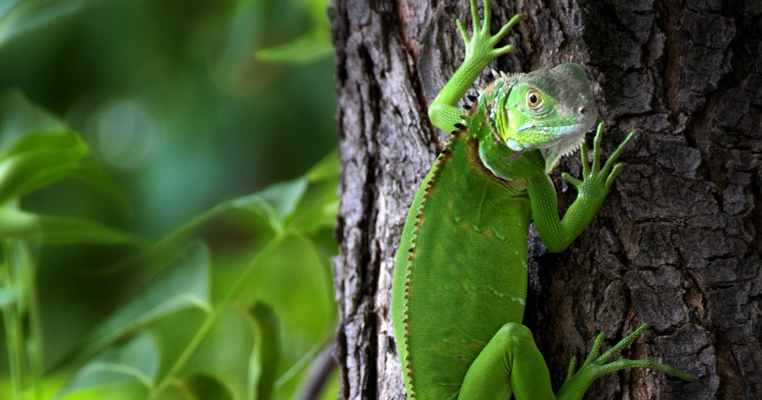 Green Season in El Tránsito, Nicaragua: What It's Really Like (and Why Couples Love It)